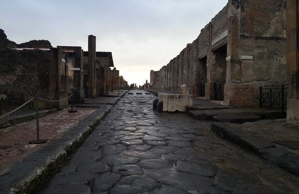 2H Group Tour + ticket of Pompeii & Herculaneum UNESCO sites