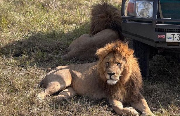 6 Days Private Serengeti Migration Safari