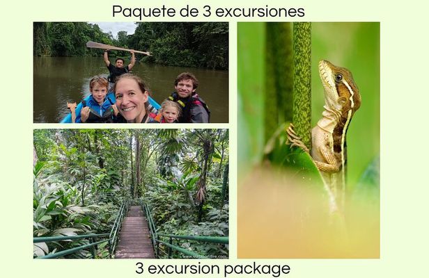 Package of 3 excursions in Tortuguero (Canoa, viewpoint, hike)
