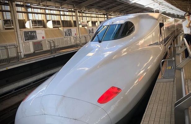 Kyoto Day Trip from Tokyo by Bullet Train Private Guided Tour