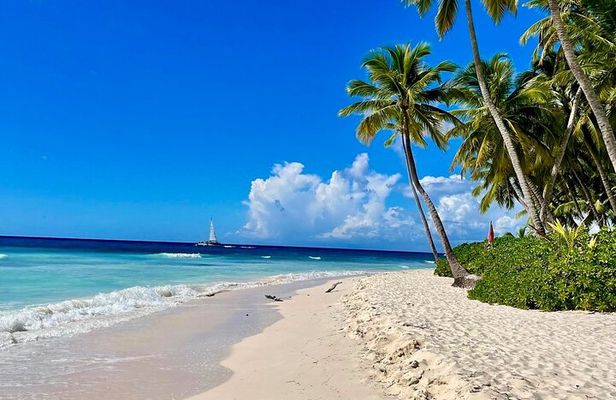 A Magical Day on Saona Island 