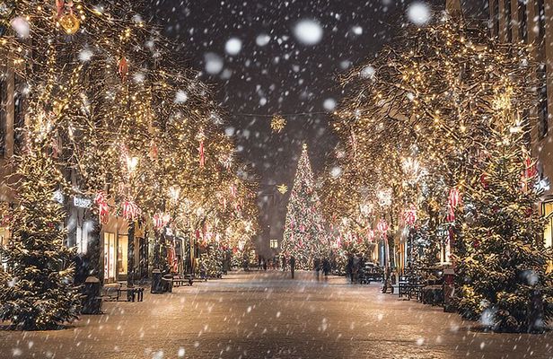 Asheville Holiday Season City Tour