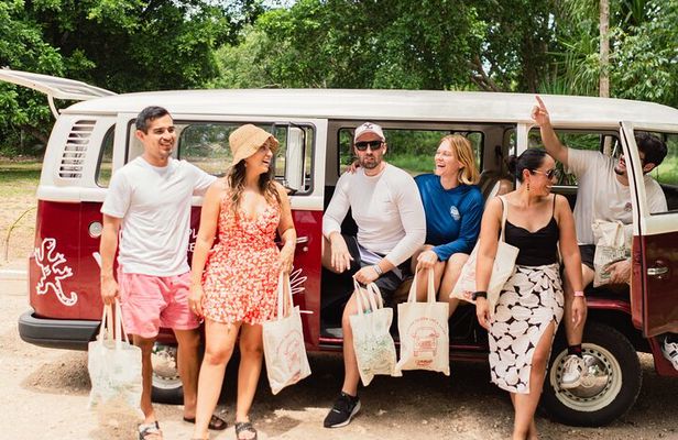 Cenotes roadtrip in classic van