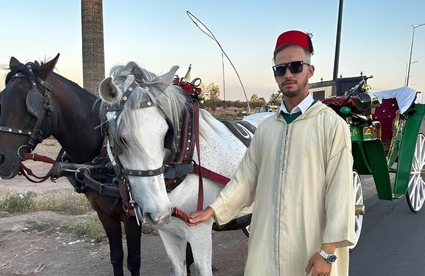 Private Horse Carriage Tour of Marrakech with Hamada