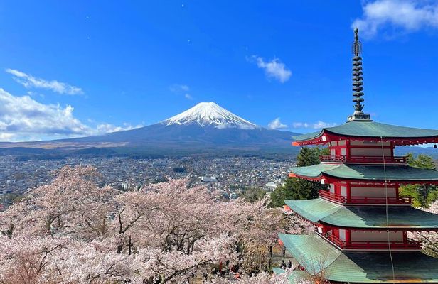 Spectacular Mt. Fuji and Lake Cruise, Noodles Making Experience