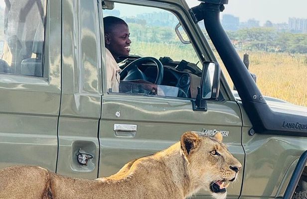 Nairobi National Park Half-Day Game Drive Guided Tour