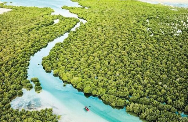 North Qatar Tour: Al Zubarah Fort, Purple Island & Mangroves