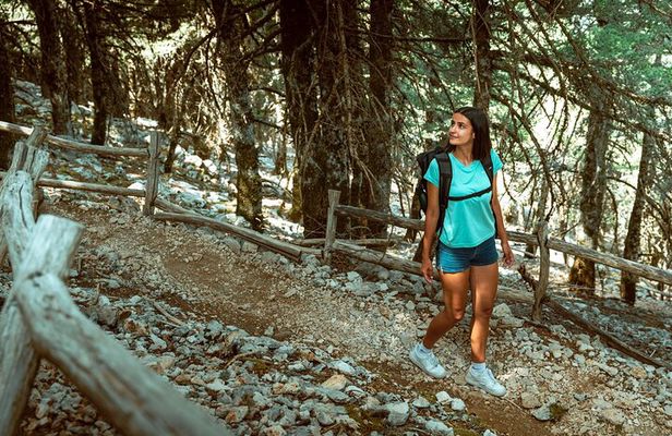 Kefalonia: 4x4 Mount Ainos & Omala Valley Premium Van Adventure