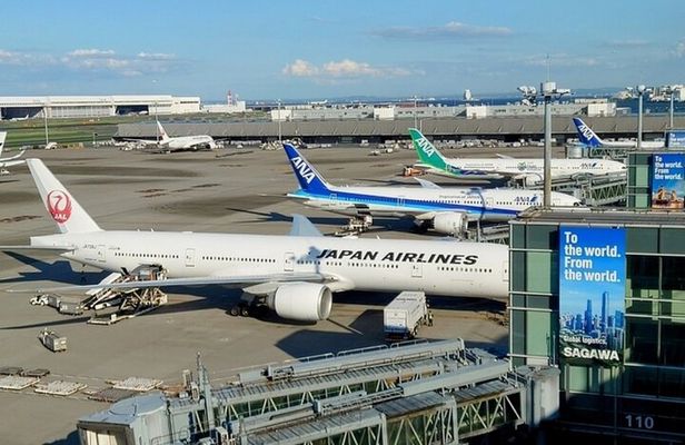 Tokyo 4h All-inclusive Private Tour with Haneda Transfer