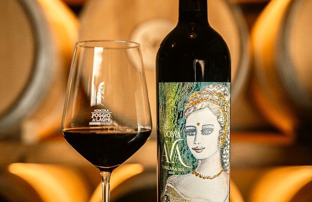Pisa, San Gimignano & Chianti Day Trip with Lunch & Wine Tasting
