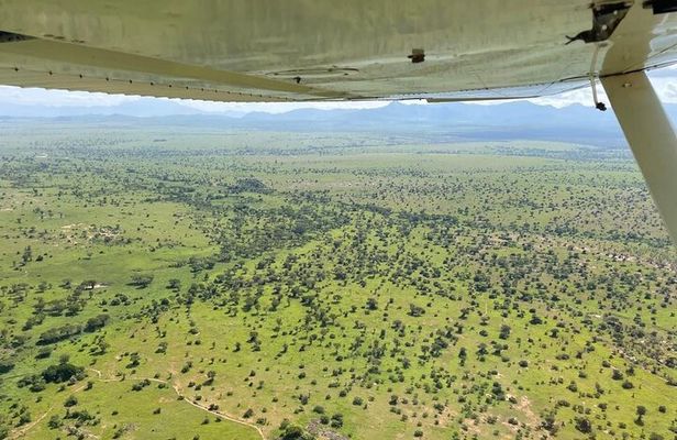 Private One-Way Charter Flight to Queen Elizabeth National Park