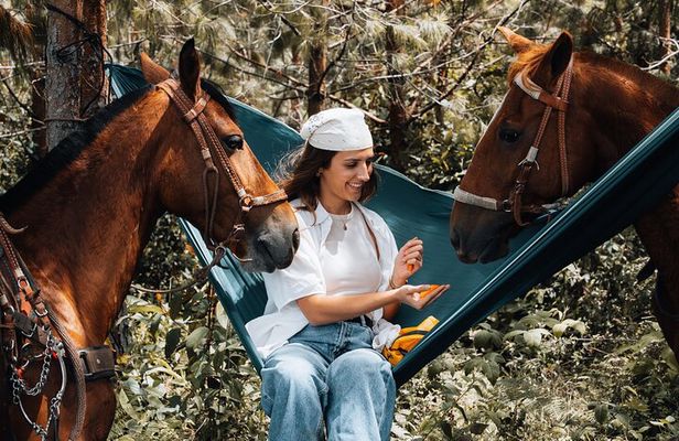 100-Year-Old family-run Finca: Horseback Riding & More