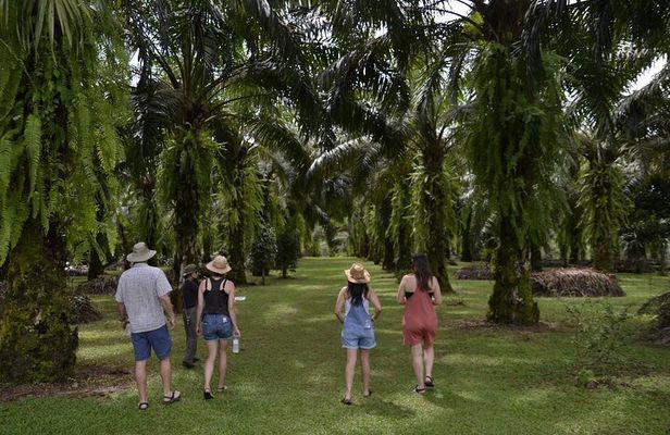 Quepos CR Chocolate and Spices Tour meals and transport included