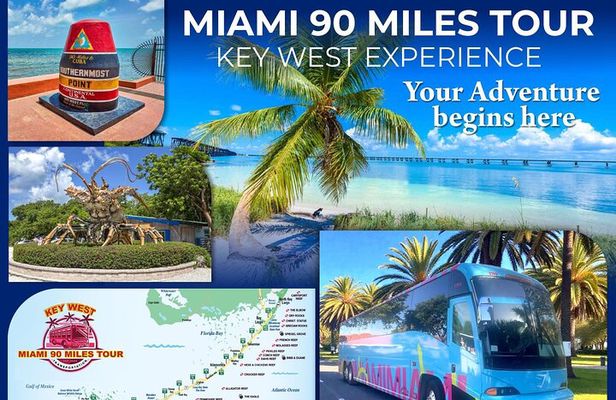 Discover the magic of Key West: book your experience today!