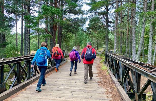 Scottish Highlands Walking Small Group Tour from Edinburgh