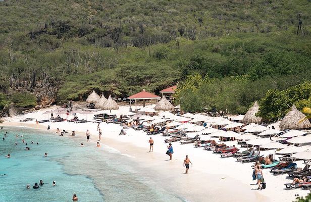 Curaçao Full-Day Tour: Hato Caves, Turtles, Kenepa & Flamingos