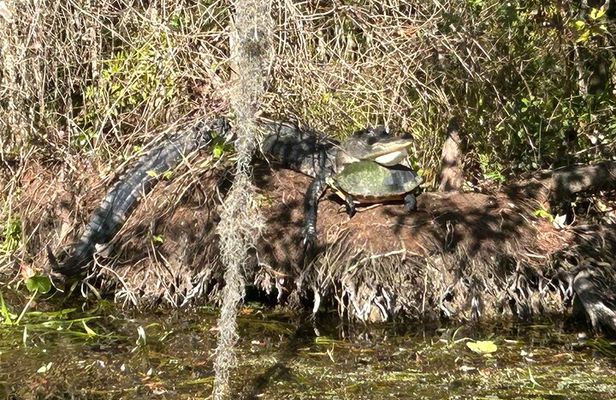 Alexander Springs 4 Hour Guided Kayak/ Swim/ Snorkel Adventure