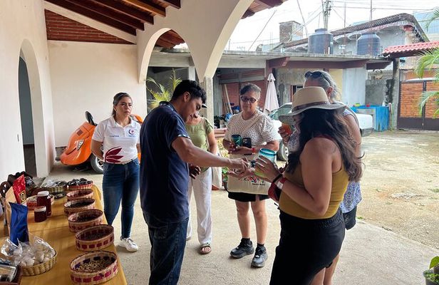 From Huatulco : Coffee experience in Pluma Hidalgo