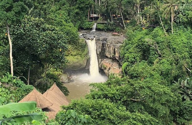 Best Full Day Of Ubud Private Guided Tour