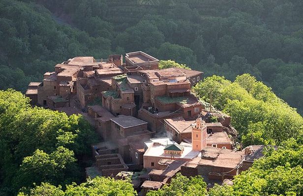 Lunch with a Panoramic View of the Atlas Mountains