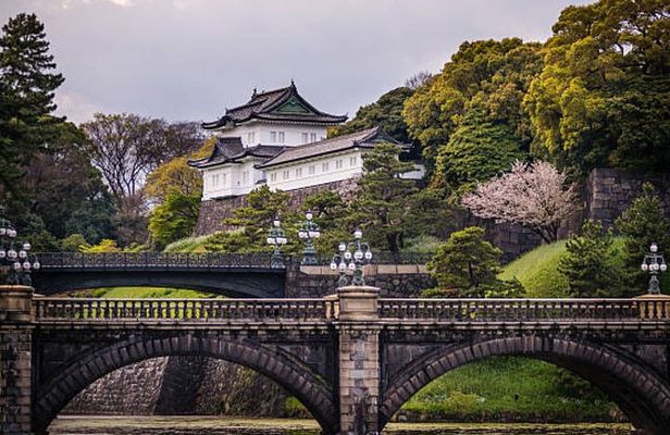 Tokyo Private Tour with English Guide in Luxury Vehicle