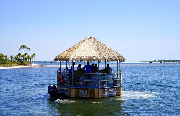 Dolphin Sightseeing Tiki Boat Tour 90 minutes
