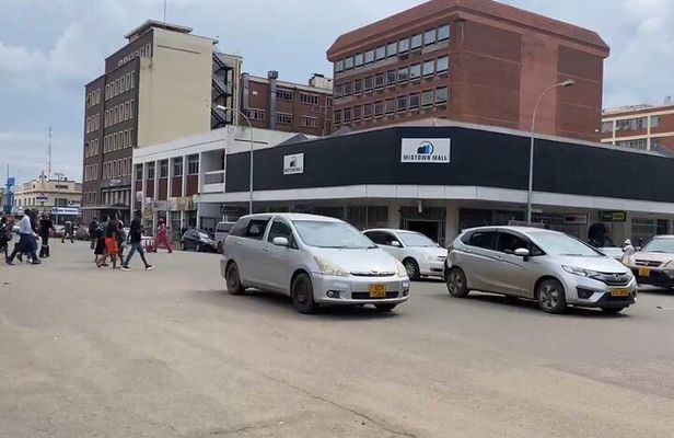 Private Harare City Tour: Wildlife, Art & Iconic Landmarks