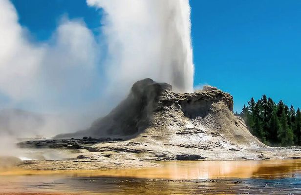 Yellowstone Full Day Private Tour & Hike - from Inside the Park