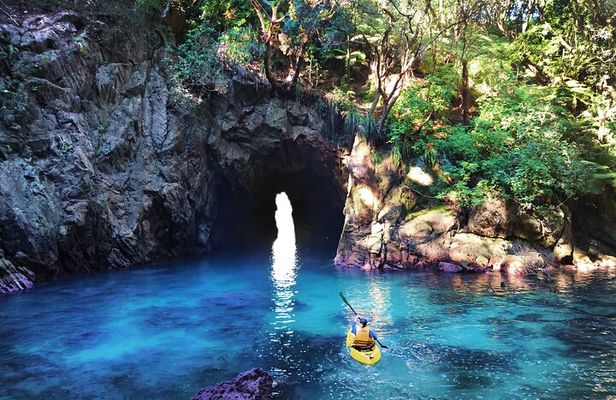 Whenuakura Island Kayak Adventure Guided Tour