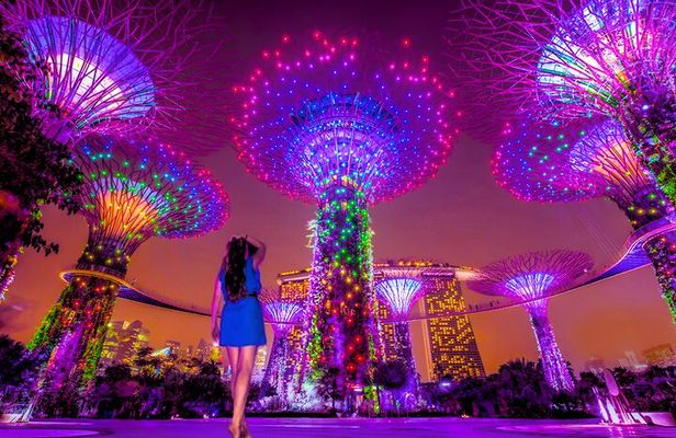 Singapore River Cruise with Spectra & Garden Rhapsody Light Show