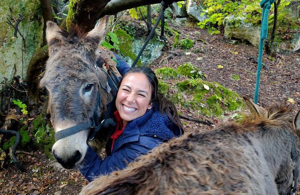 Sassari: hiking with donkeys in Cargeghe and aperitif