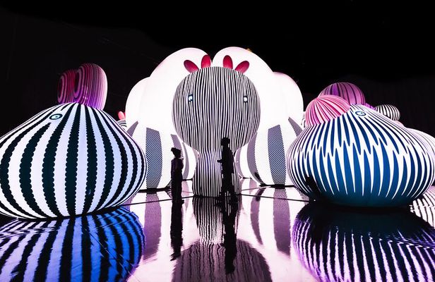 Balloon Museum Dallas Admission