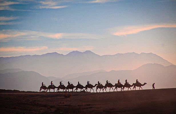 Agafay Desert Sunset Camel Ride, Moroccan Dinner & Fire Show