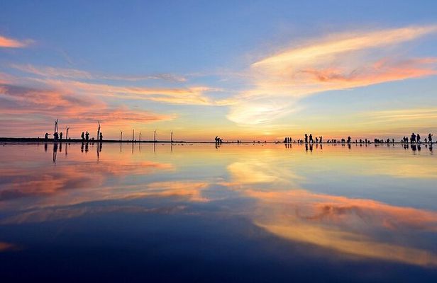 Gaomei Wetland Day Trip from Ximending