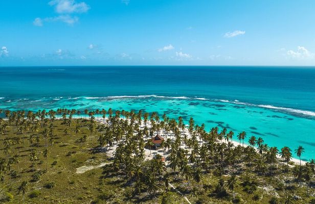 Three Treasures of Saona Palmilla, Pueblo and Canto de la Playa