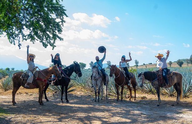 Agaves and Tequila Horseback Ride in El Arenal Jalisco