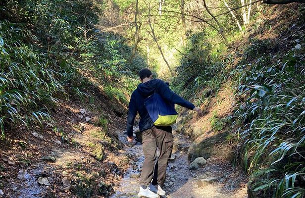Full Day Hiking Tour at Mt.Takao including Hot Spring