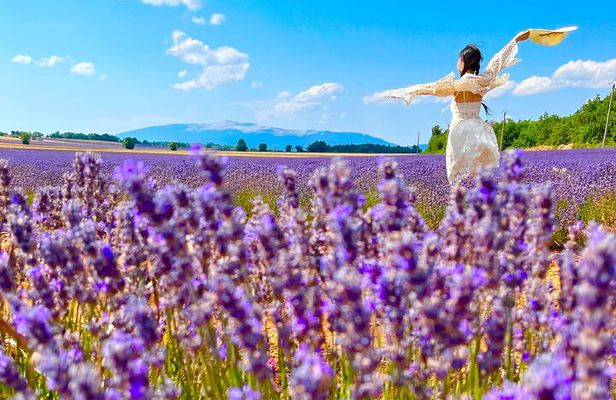 A day in the Lavenders and Villages of Provence