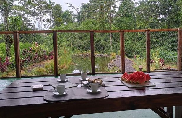 Medicinal plant class Tour & Tea Making Class