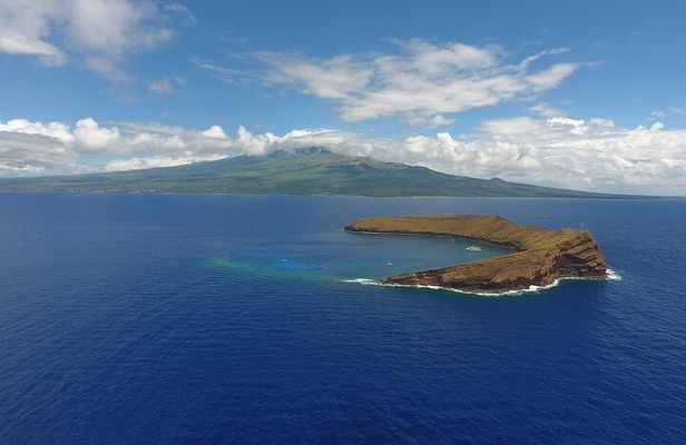 2 Hour Molokini Snorkeling Tour with Breakfast