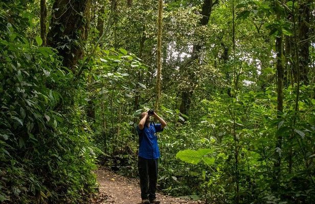 Santa Elena Cloud Forest Reserve Guided Tour