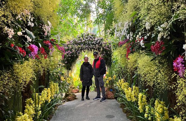 1-Day Kochi Highlights Tour with local guide