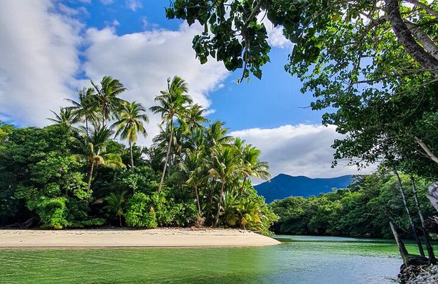 Private Luxury Daintree Dream Tour All Inclusive 