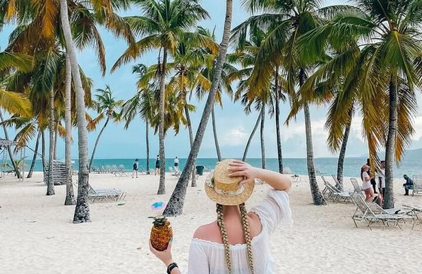 Samana Day Trip from Puntacana and El limon Waterfall