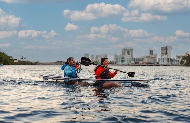  Condado Lagoon: Nature Kayak Tour