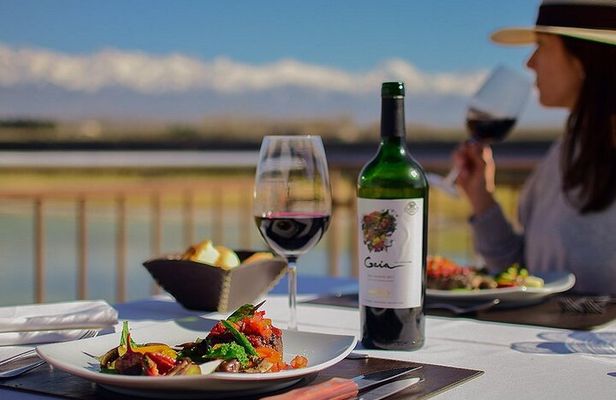 Winery in Valle de Uco with Premium Tastings and Gourmet Lunch