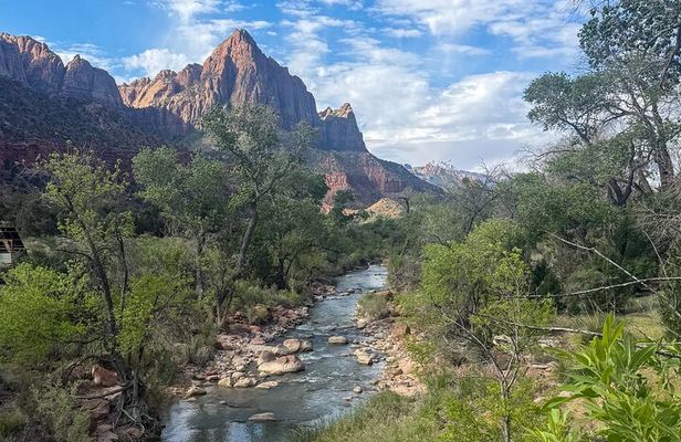 Half Day Guided Hike in Zion National Park