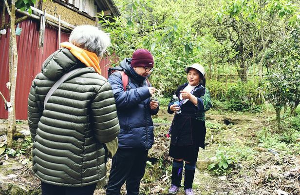 1 Day Moderate Trekking in Sapa through Highest Village