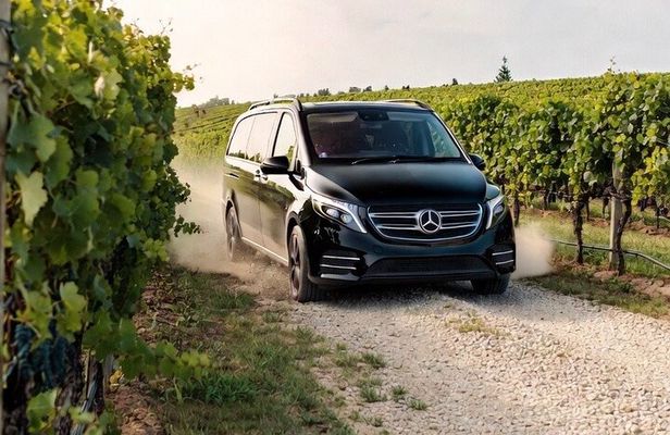 Signature Wine Tour Napier 4 Wineries Cheese and Luxury Vehicle