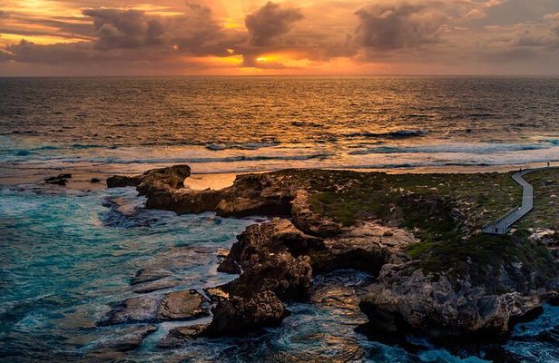 Rottnest Island Seals Sunset and West End Bus Tour